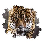 پازل 1000 قطعه ای Jaguar transition - فروشگاه بازیتو