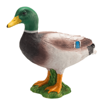 MOJO Mallard Duck Male 387127