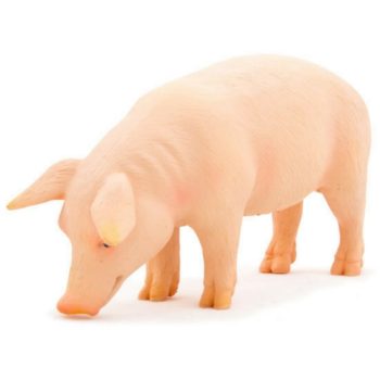فیگور مینیاتوری خوک MOJO Pig (Boar) 387055