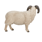 فیگور مینیاتوری قوچ MOJO Sheep (Ram) 387097