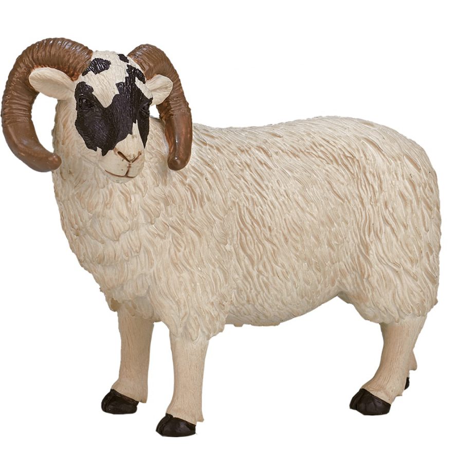 فیگور قوچ  Black Face Sheep (Ram) MOJO 387081