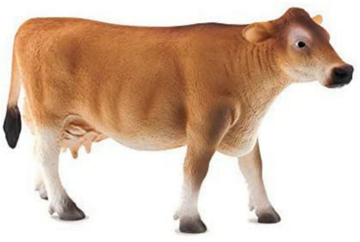 فیگور گاو جرزی Jersey Cow Figure 387117