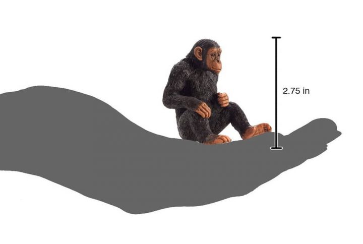 فیگور شامپانزه Chimanzee 387265