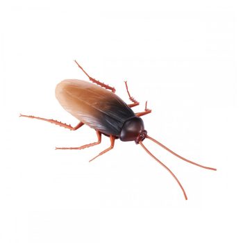 ZURU Robo Alive Scuttling Cockroach7112-5