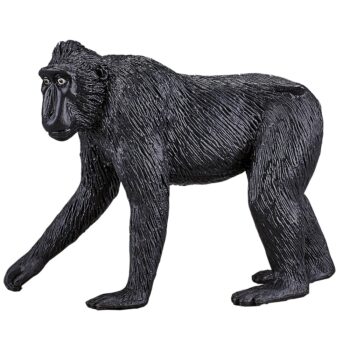 فیگور ماکاک کاکل سیاه کد: Black Crested Macaque 387182