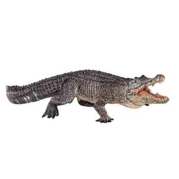 فیگور تمساح پوزه پهن Alligator With Articulated Jaw MOJO