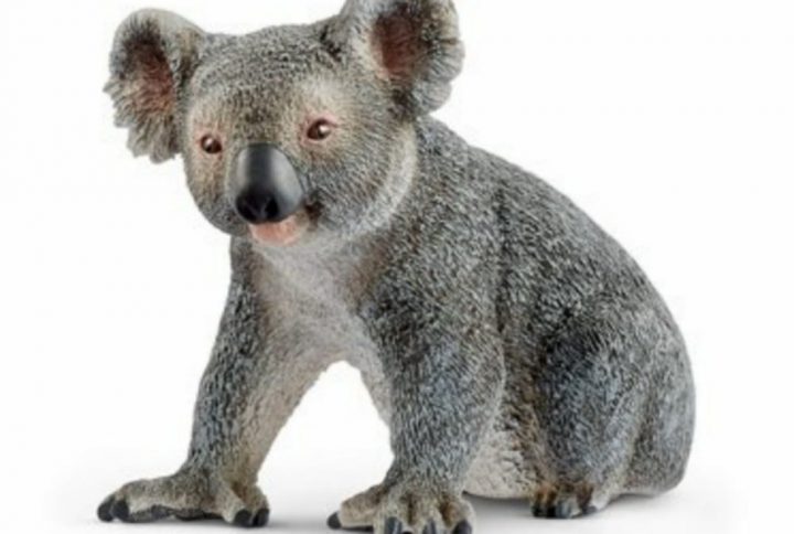 فیگور کوآلا Koala Bear Figure MOJO