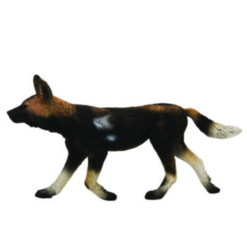 فیگور سگ رنگی آفریقایی African Painted Dog 387110