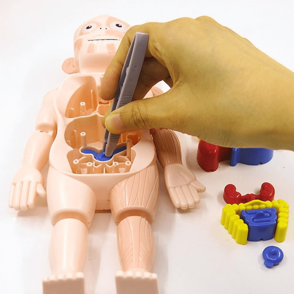 بازی کردن با اسباب بازی آناتومی بدن انسان