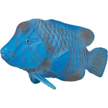 فیگور ماهی هامور آبی Blue Groper 387356