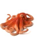 فیگور اختاپوس موجو کد: Octopus 387275