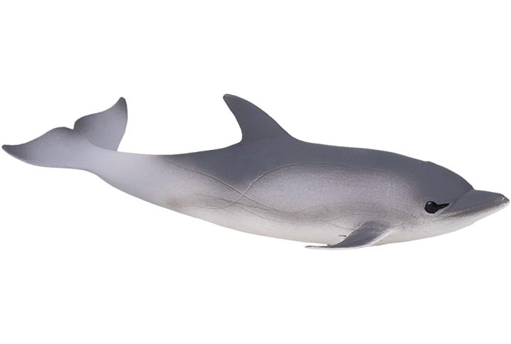 فیگور دلفین موجو Common Dolphin 387358