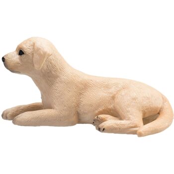 Mojo Labrador Puppy 387272