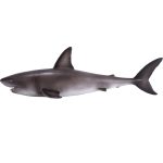 فیگور کوسه سفید MOJO Great White Shark 381012