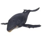 فیگور نهنگ گوژپشت MOJO Humpback Whale Deluxe 387277