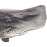 فیگور شاه نهنگ MOJO Sperm Whale 387210
