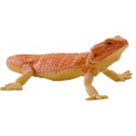 فیگور اژدهای ریش‌دار کد Mojo 381096