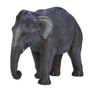 فیگور فیل آسیایی کد: Asian Elephant 387266