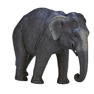 فیگور فیل آسیایی Asian Elephant 387266